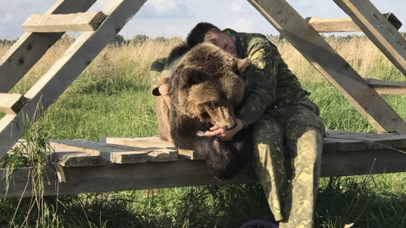 Land of Bears