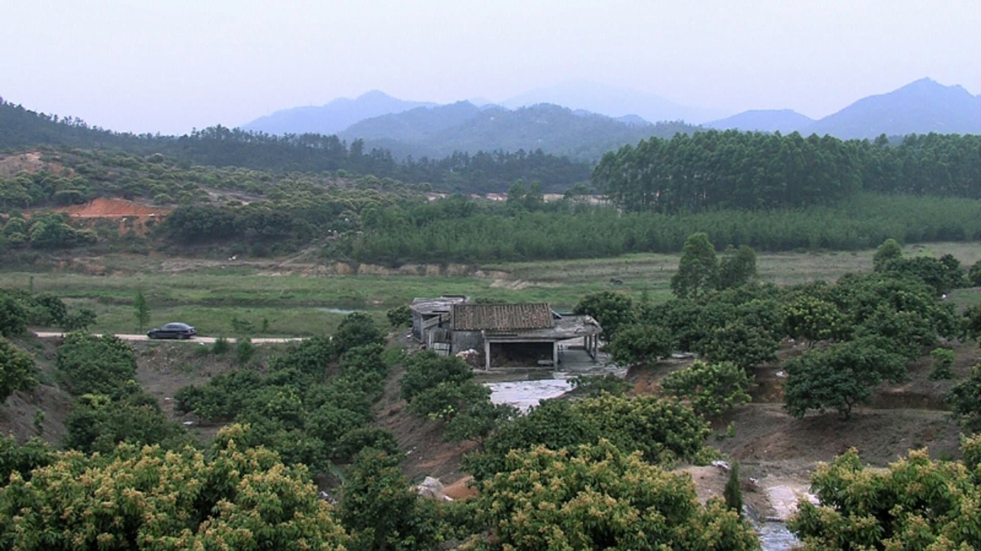 The Surroundings