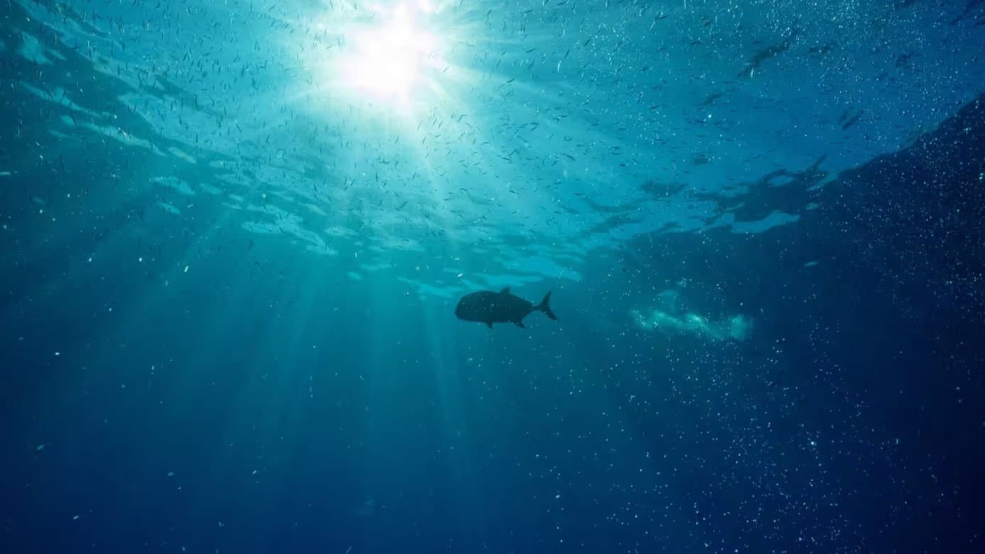 Hope in the Water