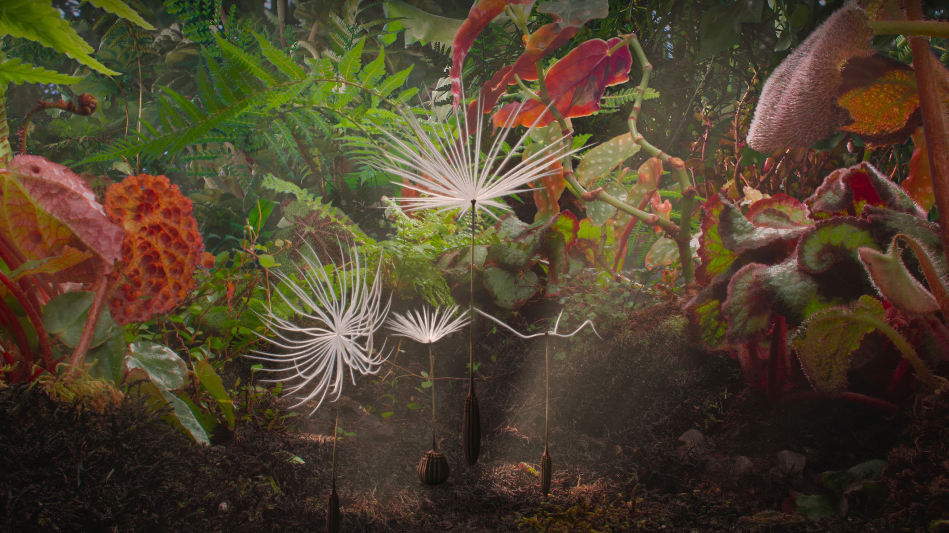 Dandelion's Odyssey