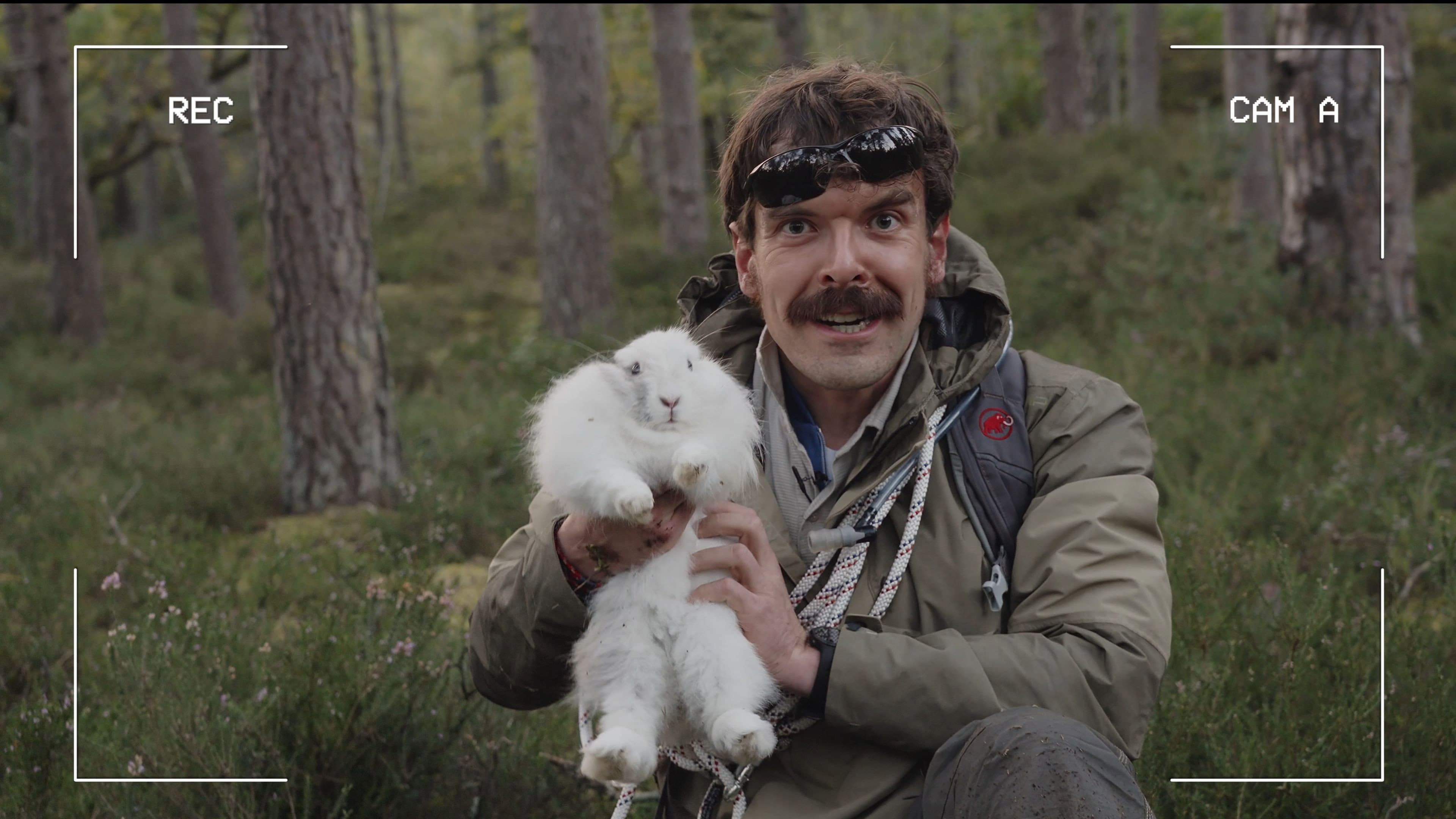 Midwild