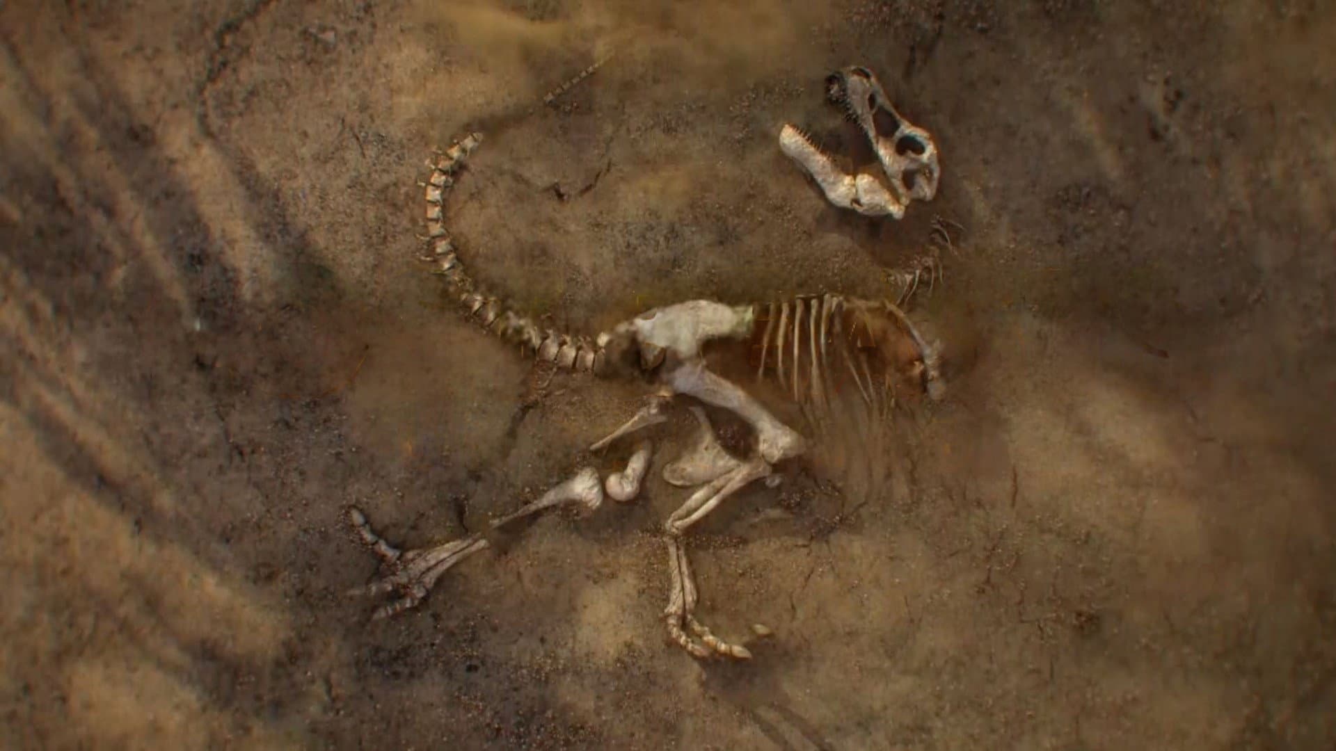 Lost Beasts Unearthed