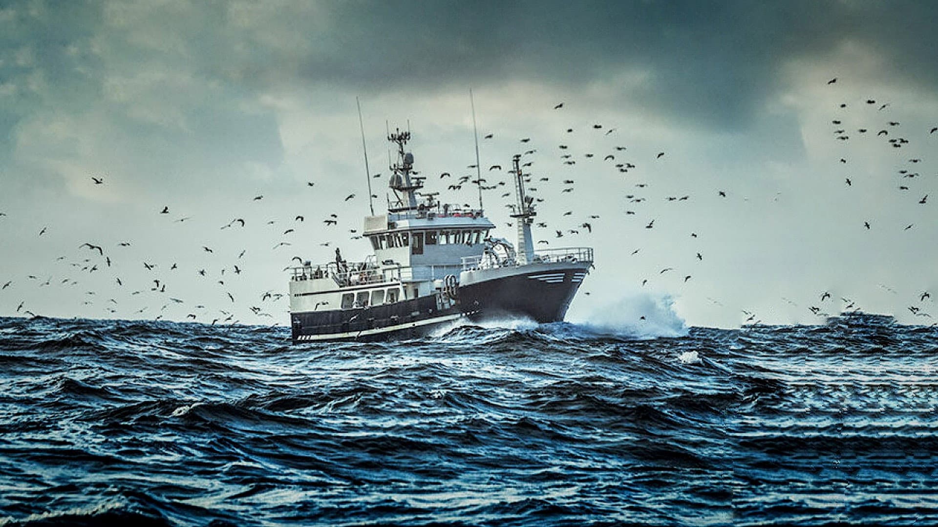 East Harbour Heroes