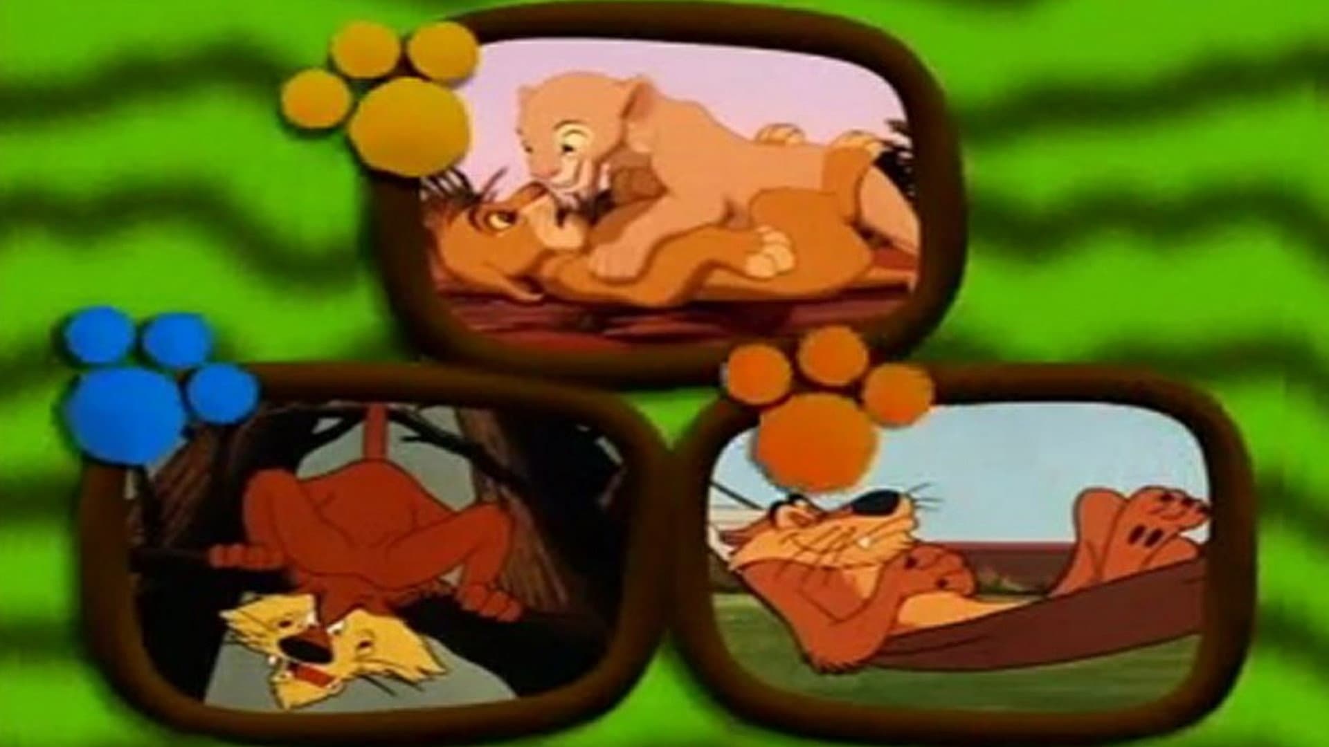 The Wonderful World of Animals