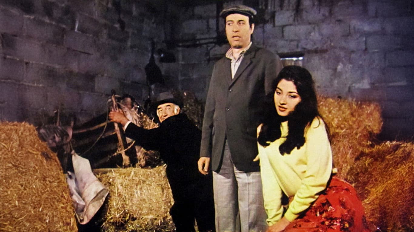Tokatçı