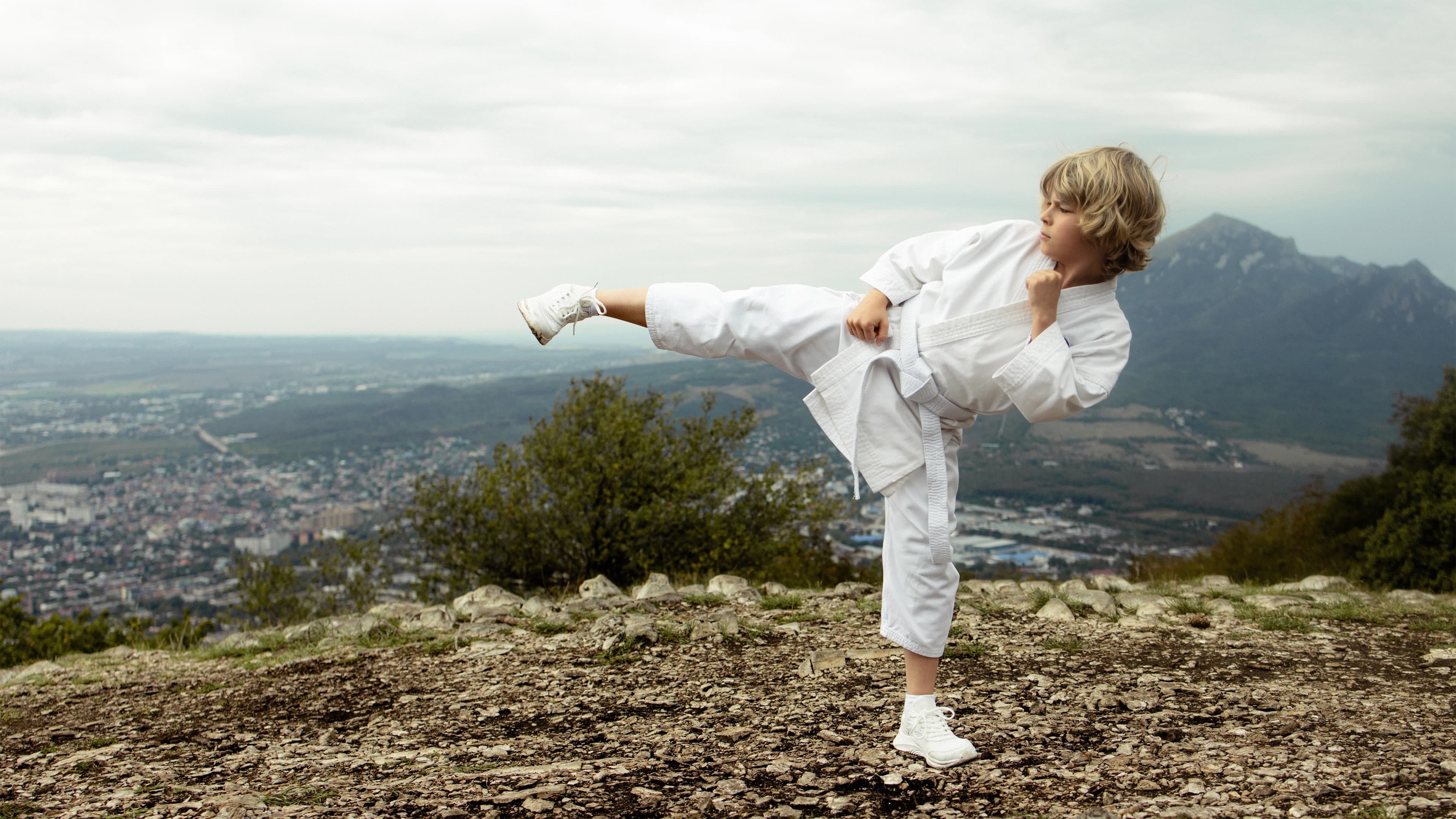 The Next Karate Kid