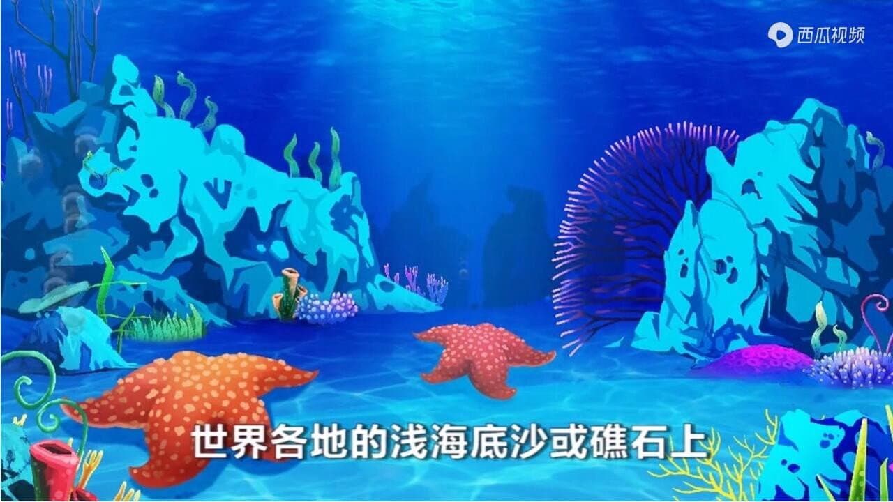 大海宝贝