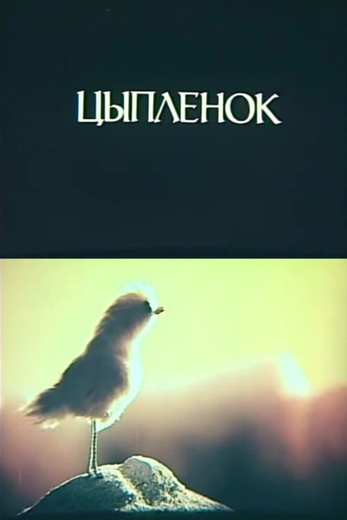 Little Chicken