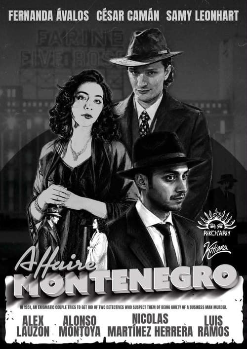 The Montenegro Affair