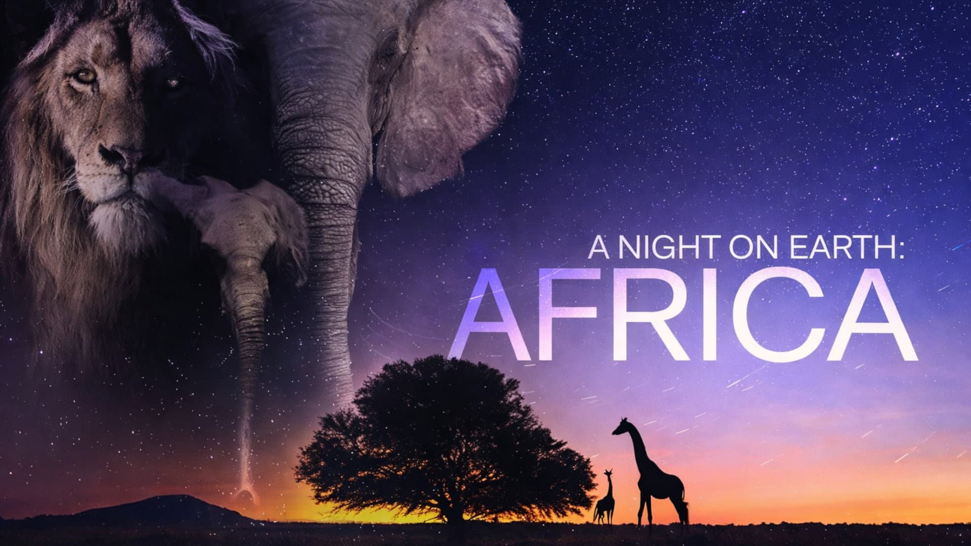 A Night on Earth: Africa