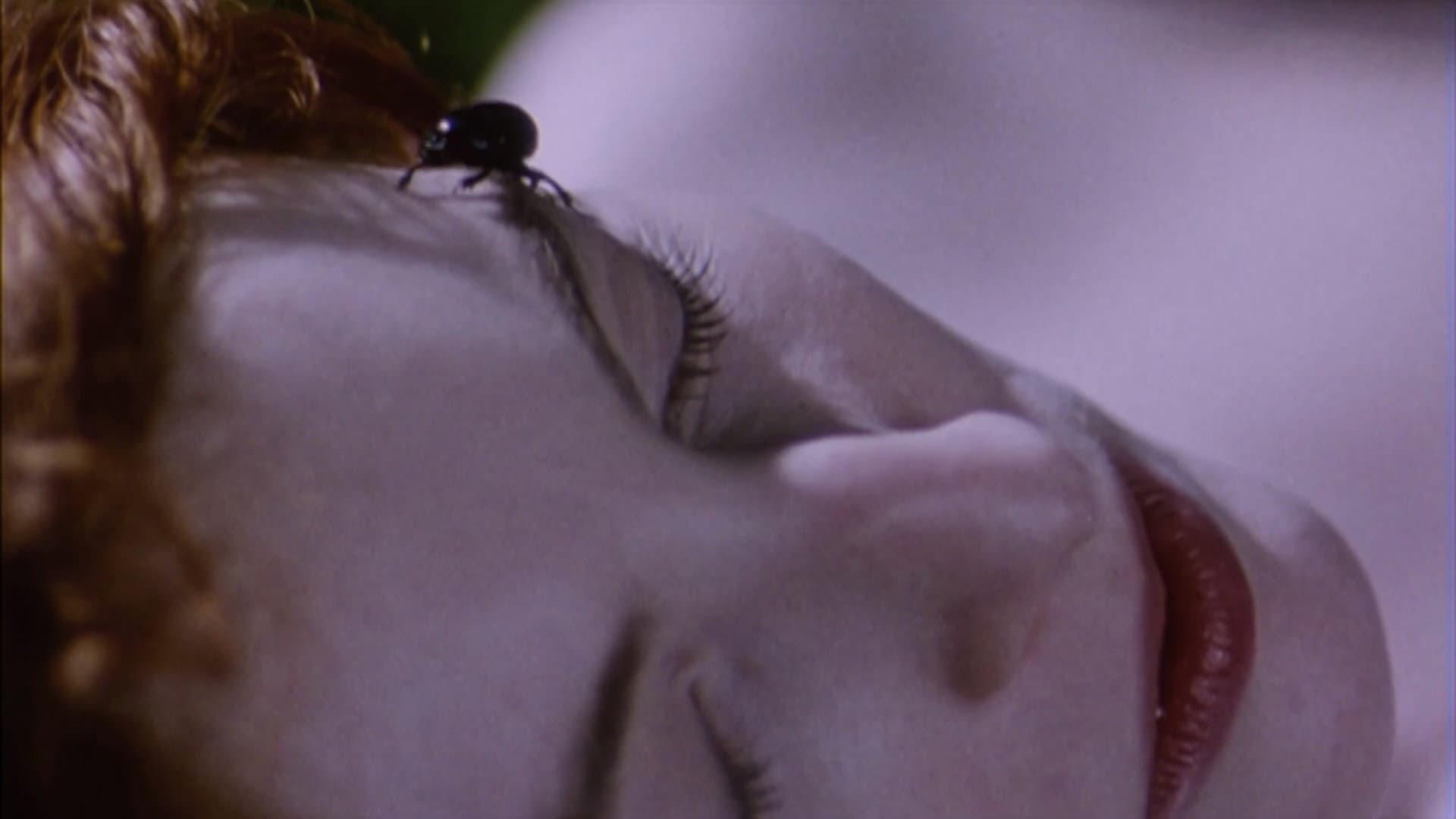 Belle de Nature