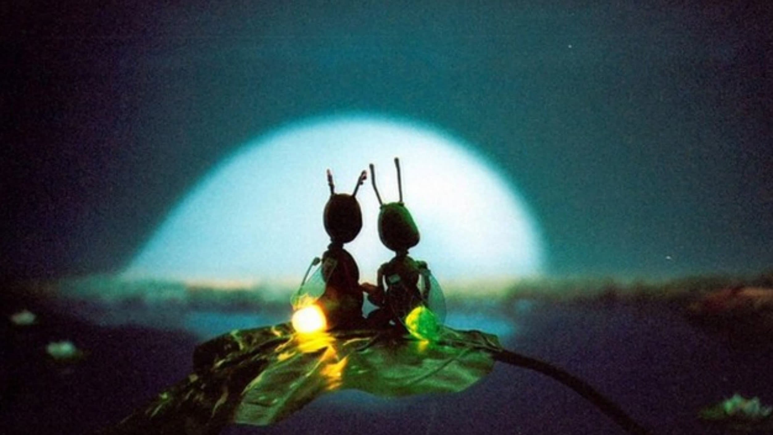 Firefly