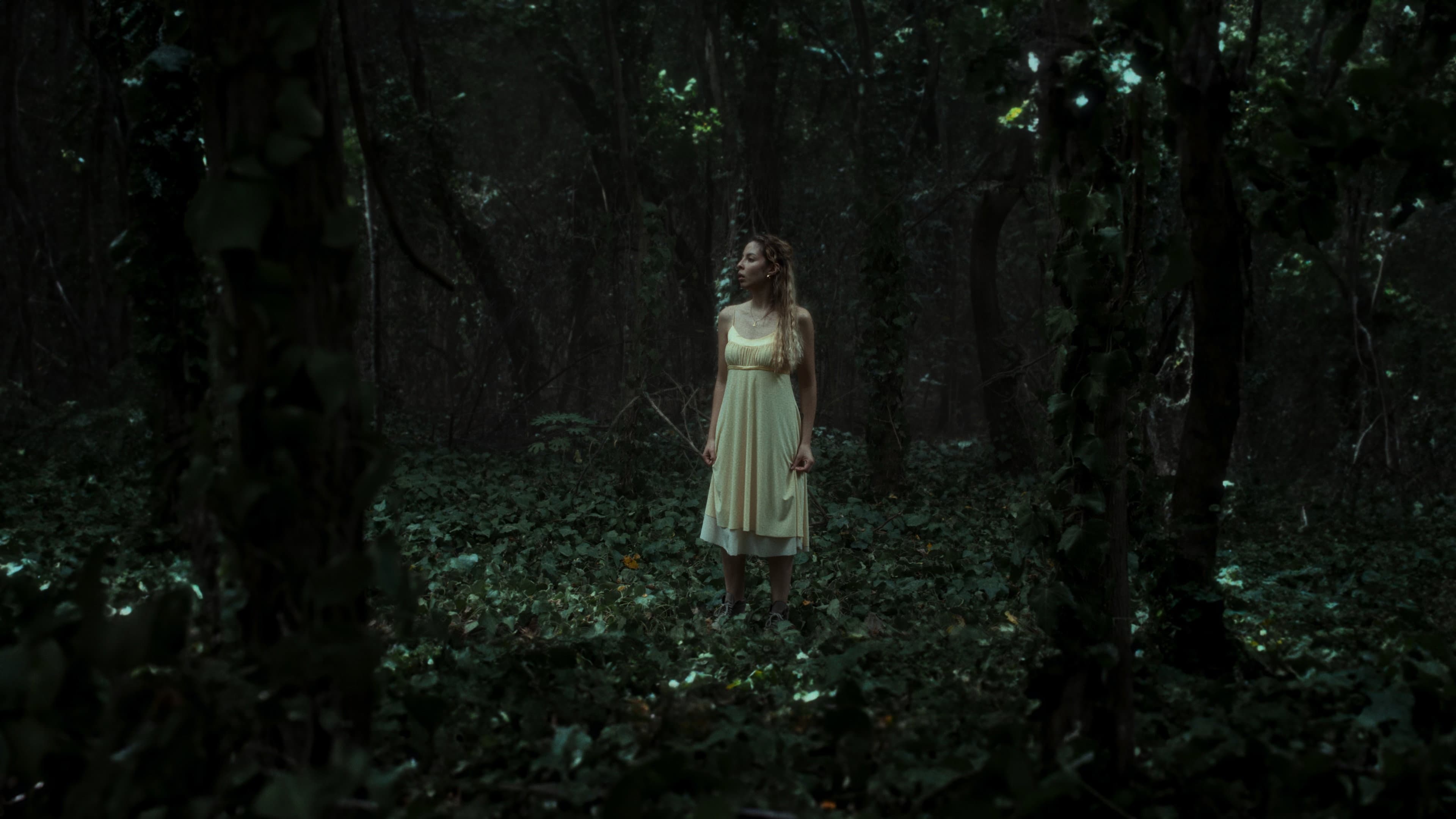 The Witch of the Woods