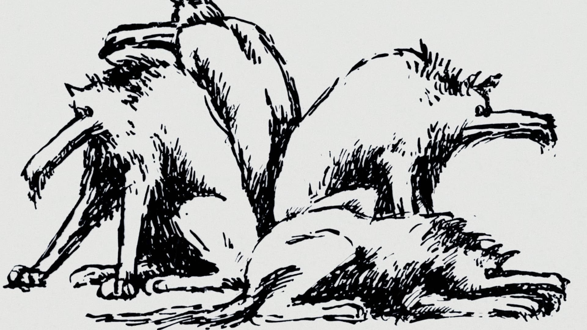 Lykantropia