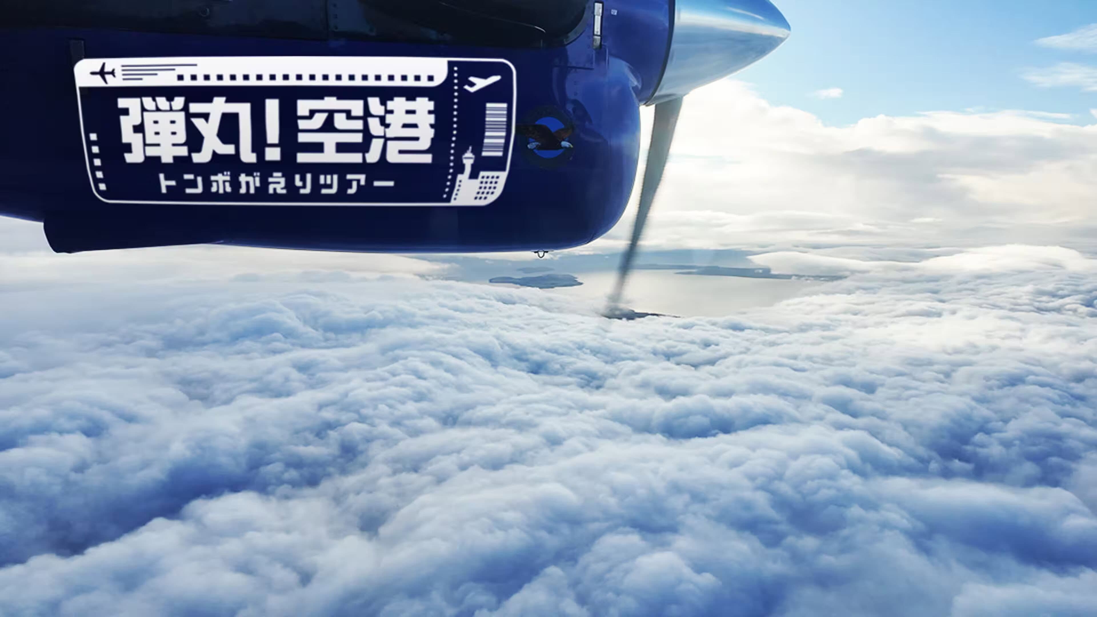 弾丸!空港トンボがえりツアー