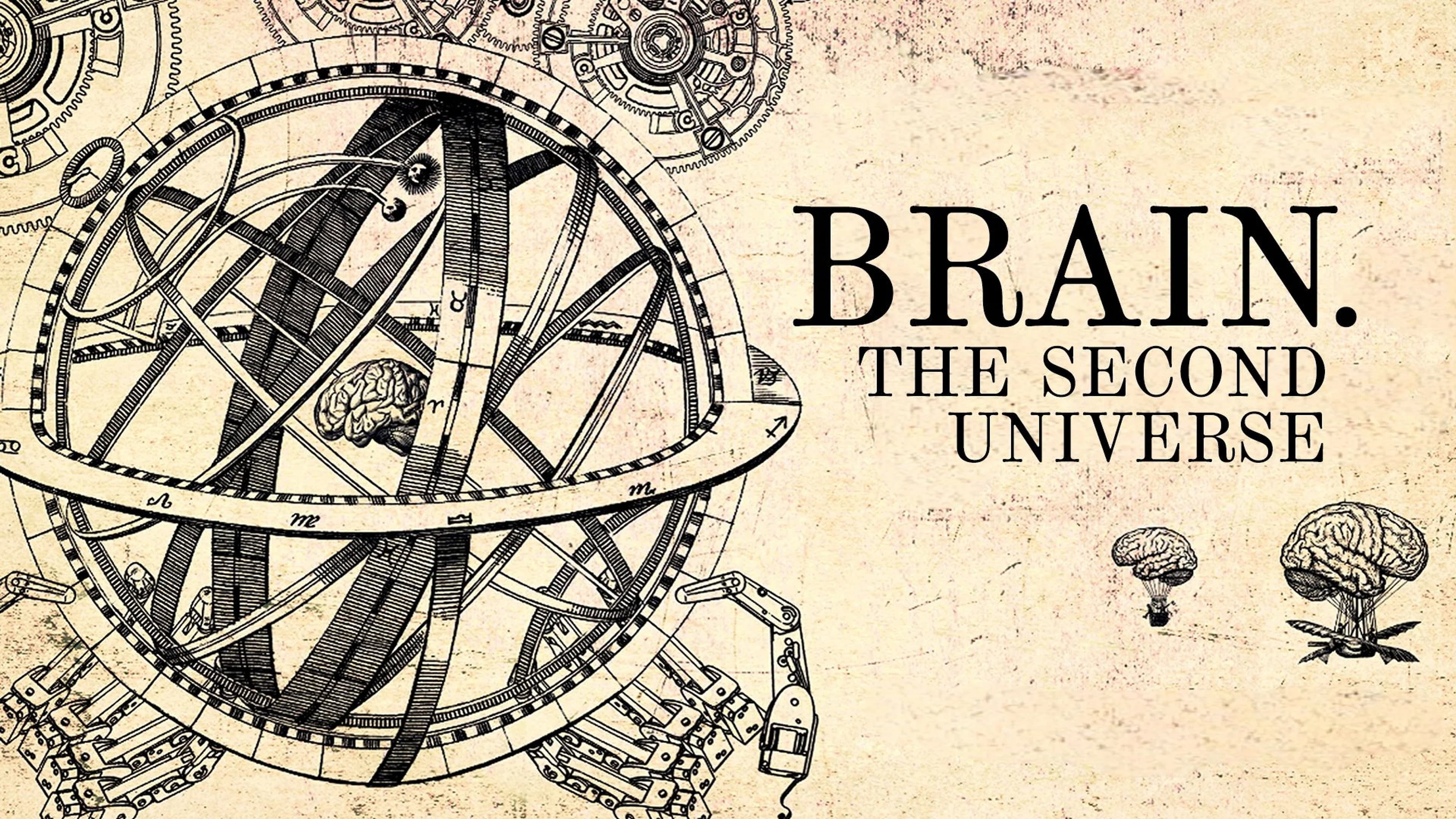 Brain. Second Universe