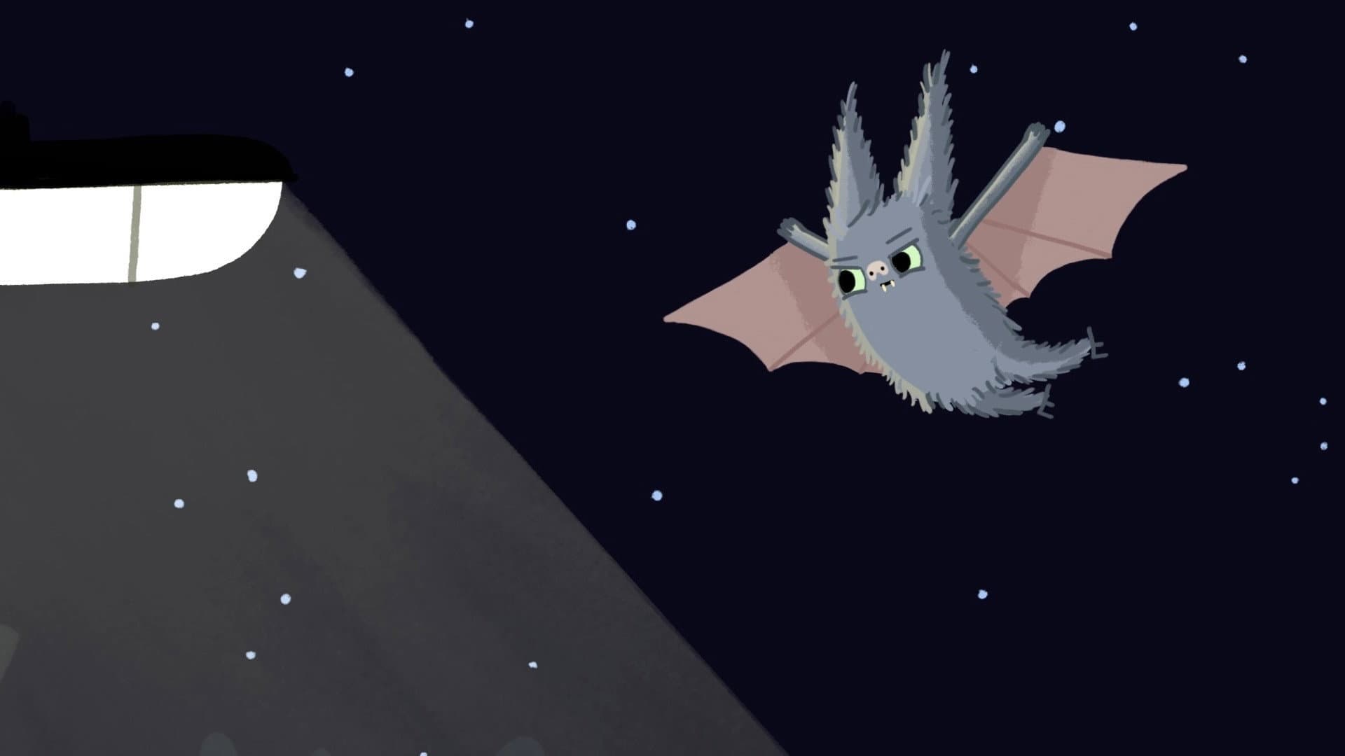 Bats & Bugs