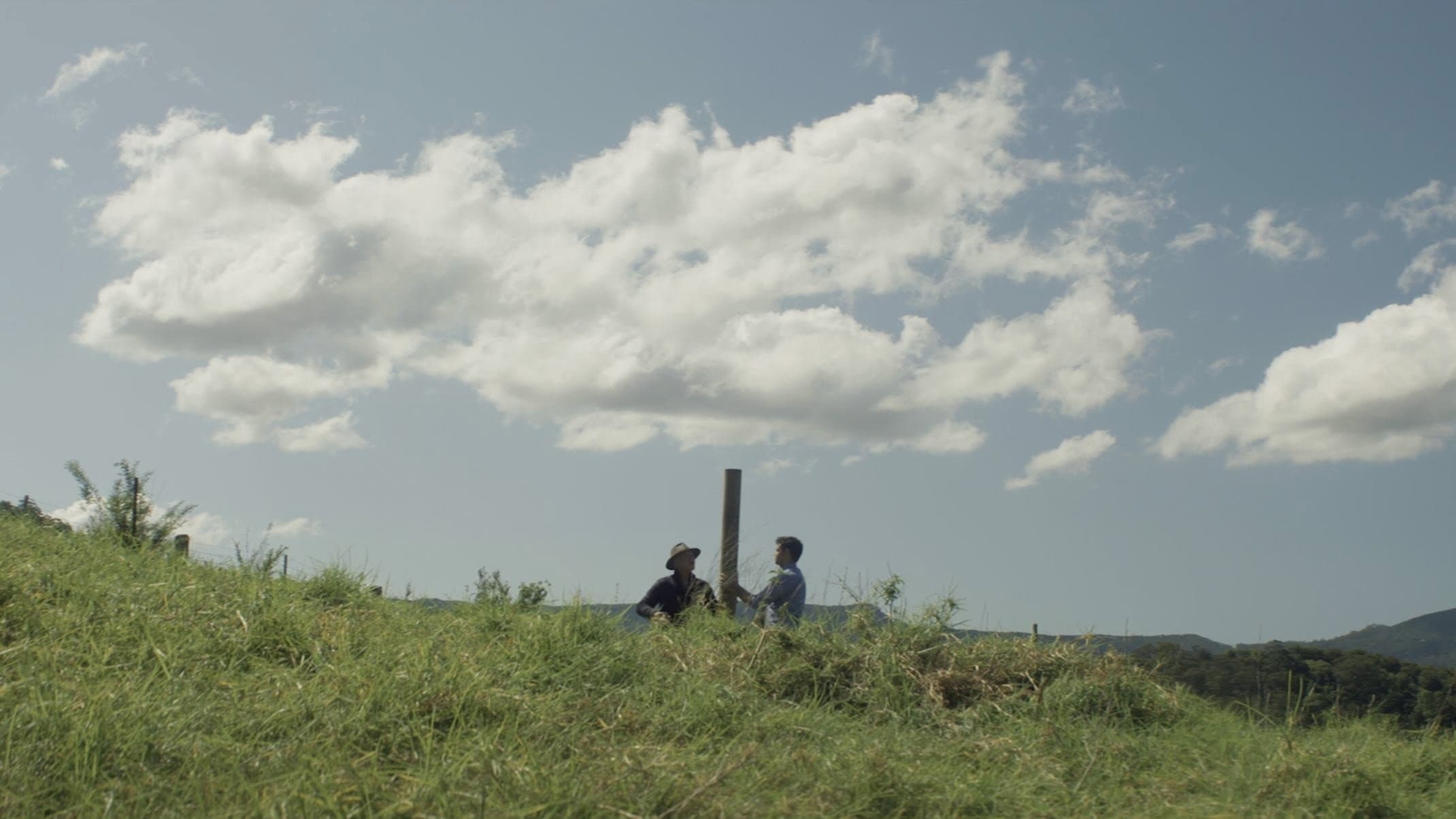 Fences